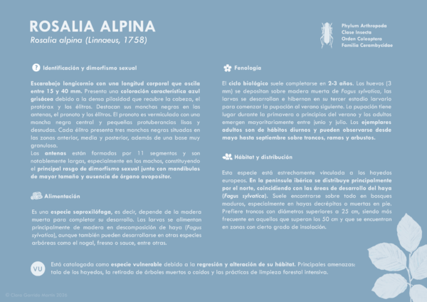 Postal Rosalia