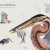 Postal Garza Imperial