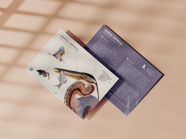 Postal Garza Imperial