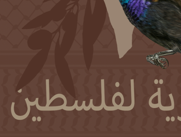 lamina palestina libre zoom