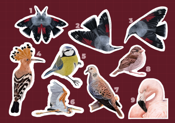 pegatinas fauna iberica pegatinas fauna ibérica