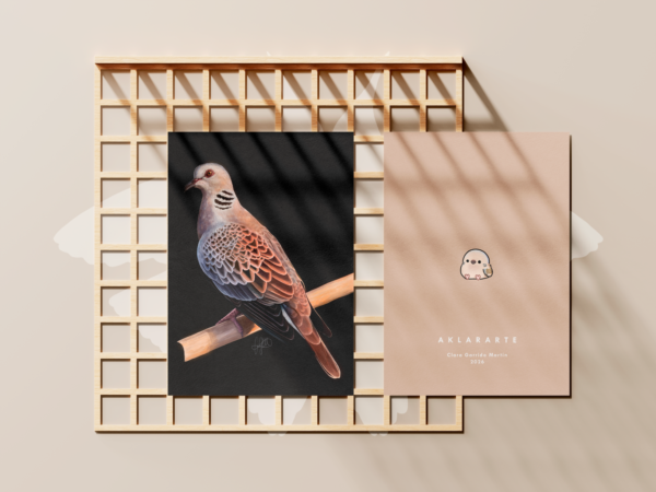 lamina-tortolaeu Lamina tortola europea cara y envés